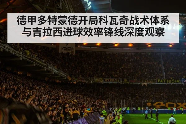 soccer stadium crowd night